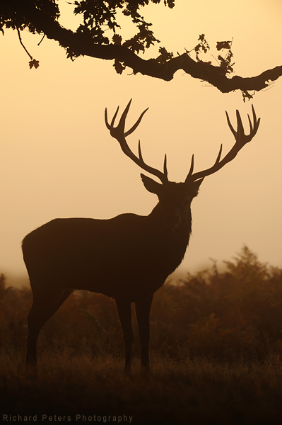 Standing proud