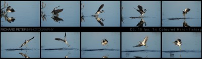 10 frames per second My first attempt