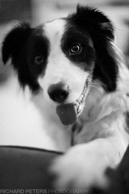 1/40, f1.4, ISO 6400 1/40, f1.4, ISO 6400