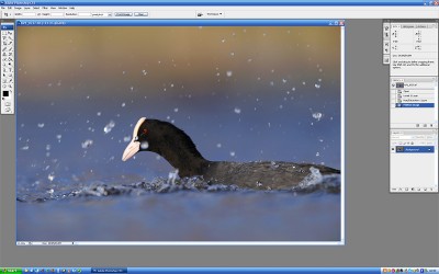 Basic image window Basic image window