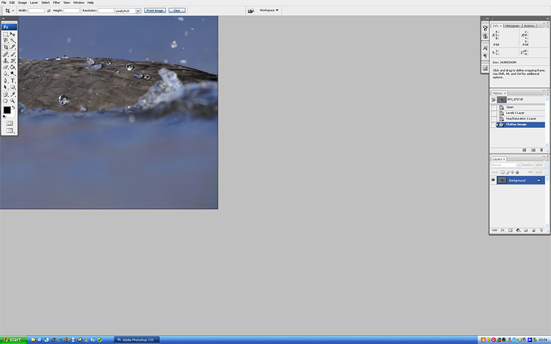 Move File Picture Photo editing with less clutter | Richard Peters Wildlife Photography