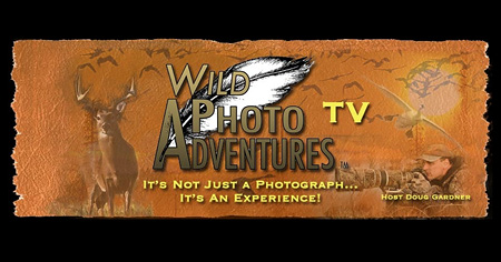 Click to Visit WildPhotoAdventures.com