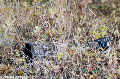 600mm VR in Realtree Max4 HD 600mm VR in Realtree Max4 HD