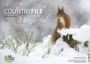 2009 winning shot on calendar cover