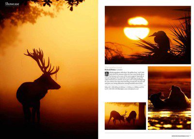 I'm pleased to say I have several images in the Practical Photography mag, March Showcase. This is the layout, which I think works really well and I;m pleased with the images they choose.