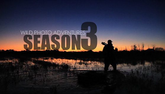 Your wild photo adventure begins here