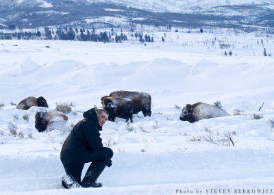 Standing in the road photographing bison, I was caught off guard