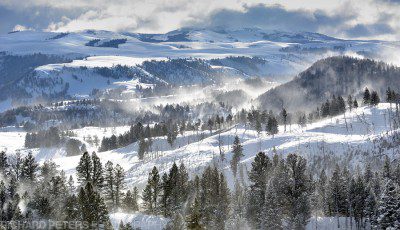 Welcome to the snow covered valleys of Yellowstone