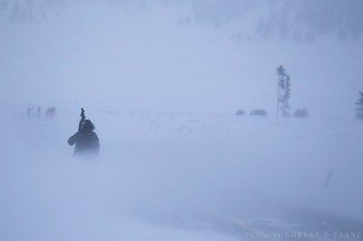 Me, walking back down the road in harsh windy conditions in Yellowstone National Park. The wind was whipping the fine powdery snow up in to a fog.