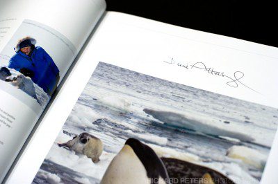 Frozen Planet, signed by Sir David Attenborough. Now my most prized book.
