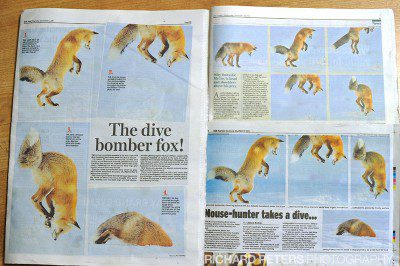 Some of the UK press coverage