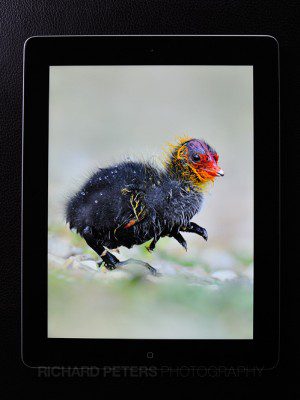 The iPad 3, the ultimate digital portfolio