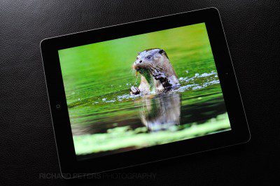 The iPad 3 Retina Display brings your images to life