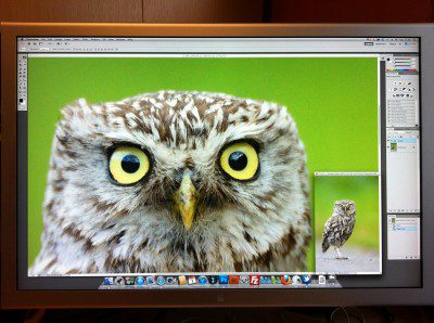 For best results, view D800 files on a large screen at full res For best results, view D800 files on a large screen at full res