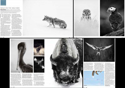 A Walk on the Wild Side, B+W interview A Walk on the Wild Side, B+W magazine interview, April 2013 issue