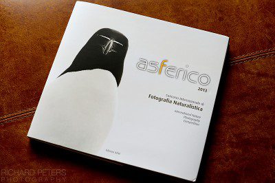 The INPC Asferico, portfolio book 2013
