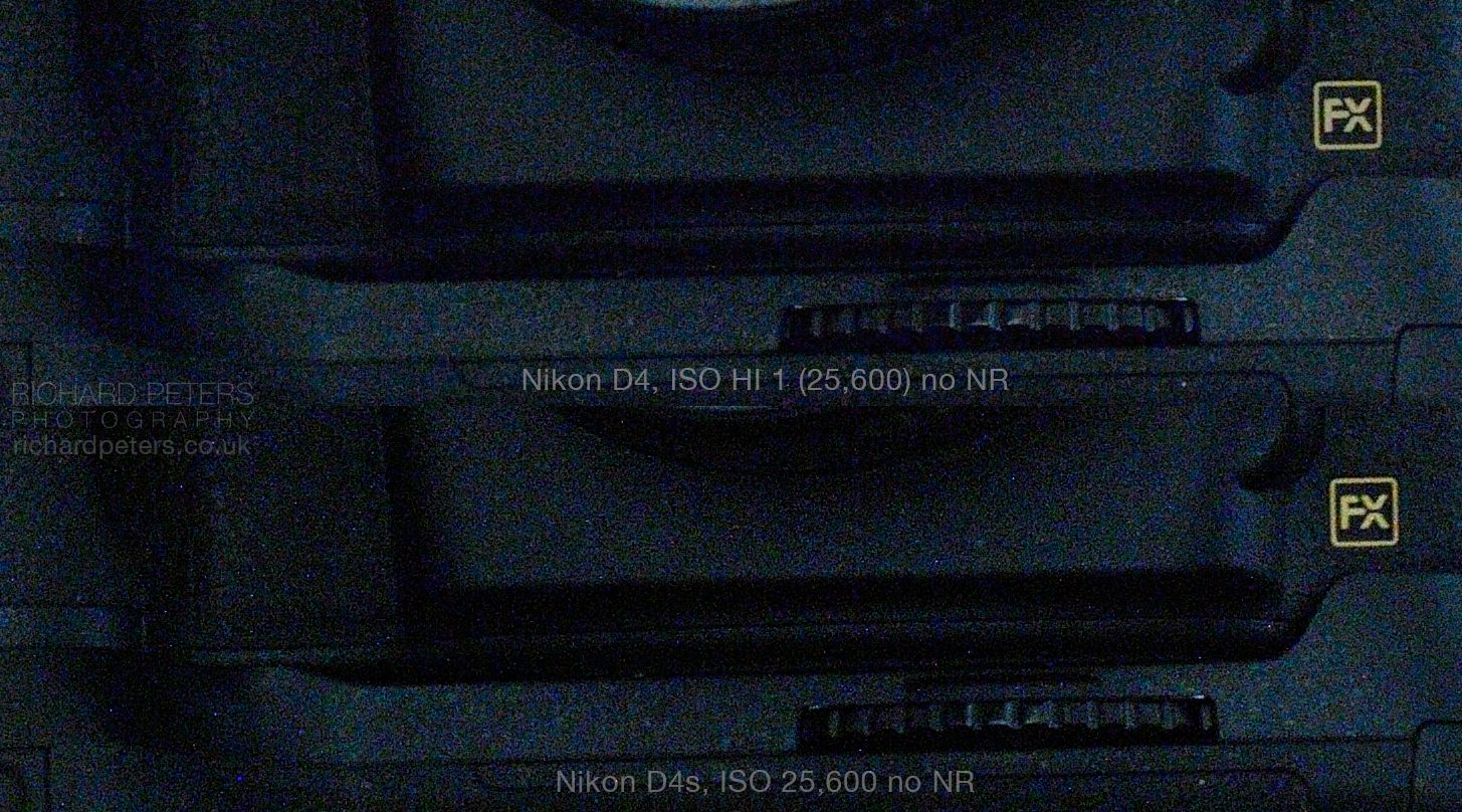 Nikon D4s vs D4 high ISO *UPDATE* Richard Peters Wildlife Photography