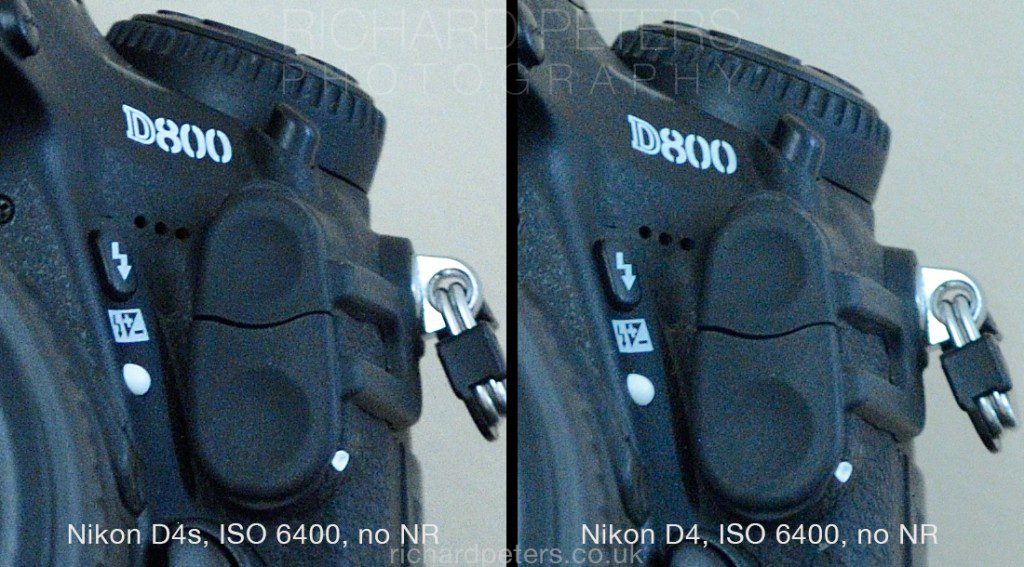 Nikon D4s vs D4 high ISO *UPDATE* Richard Peters Wildlife Photography