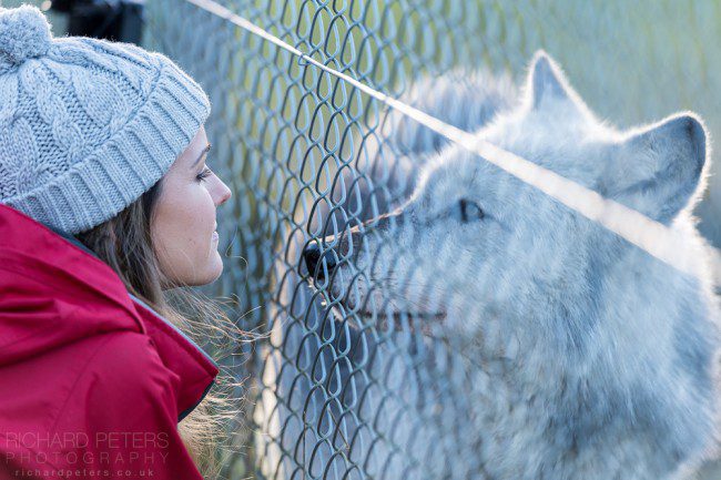 The WCT offers up close encounters and education