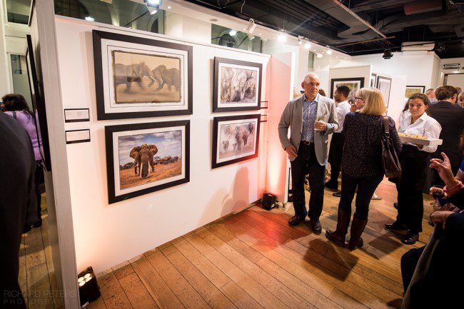 Remembering Elephants exhibition