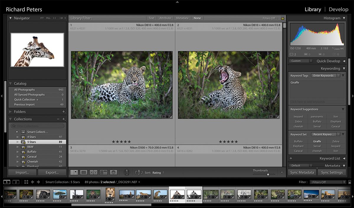 adobe lightroom cc 2020 free download for lifetime adobe lightroom cc 2020 free download for lifetime