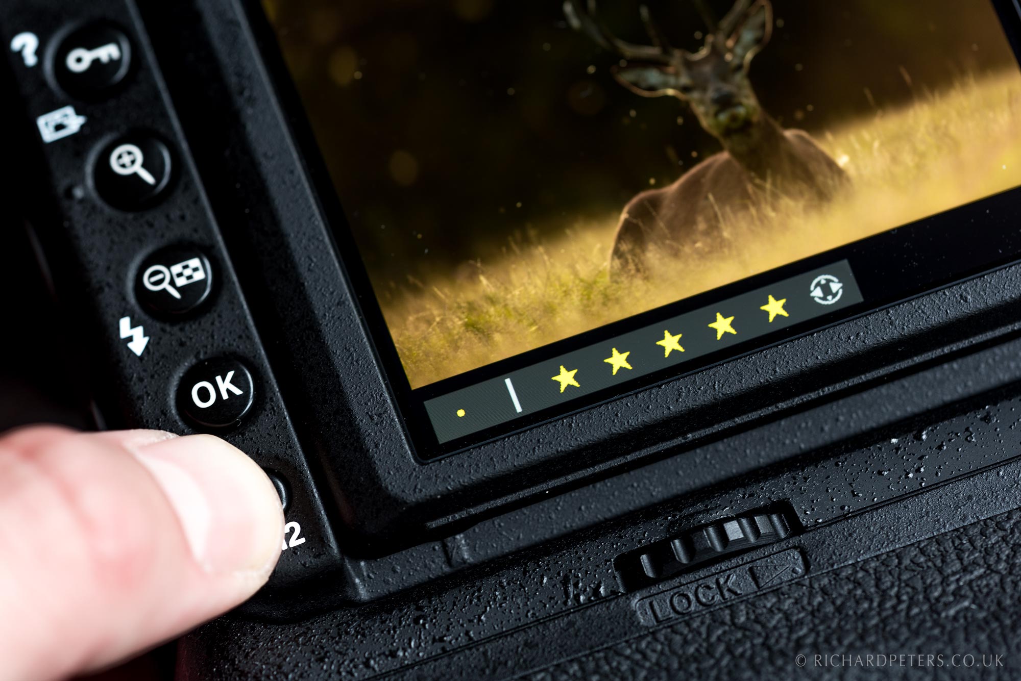 Nikon D850 star rating