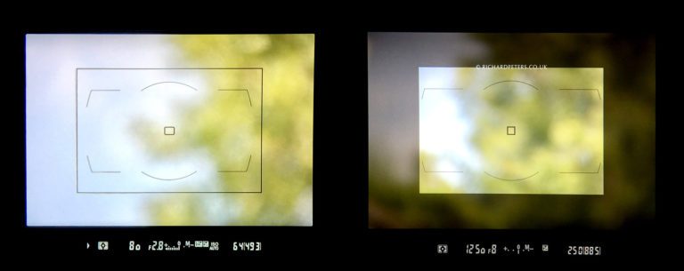 Nikon D850 review. The best wildlife photography camera ever made