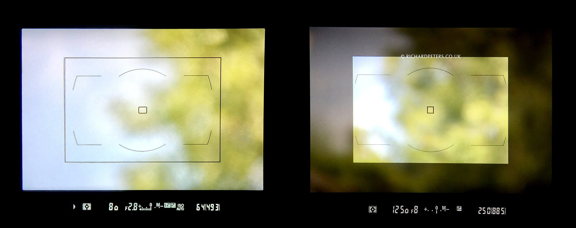 DX modes: The older D810 versus viewfinder masking of the D850