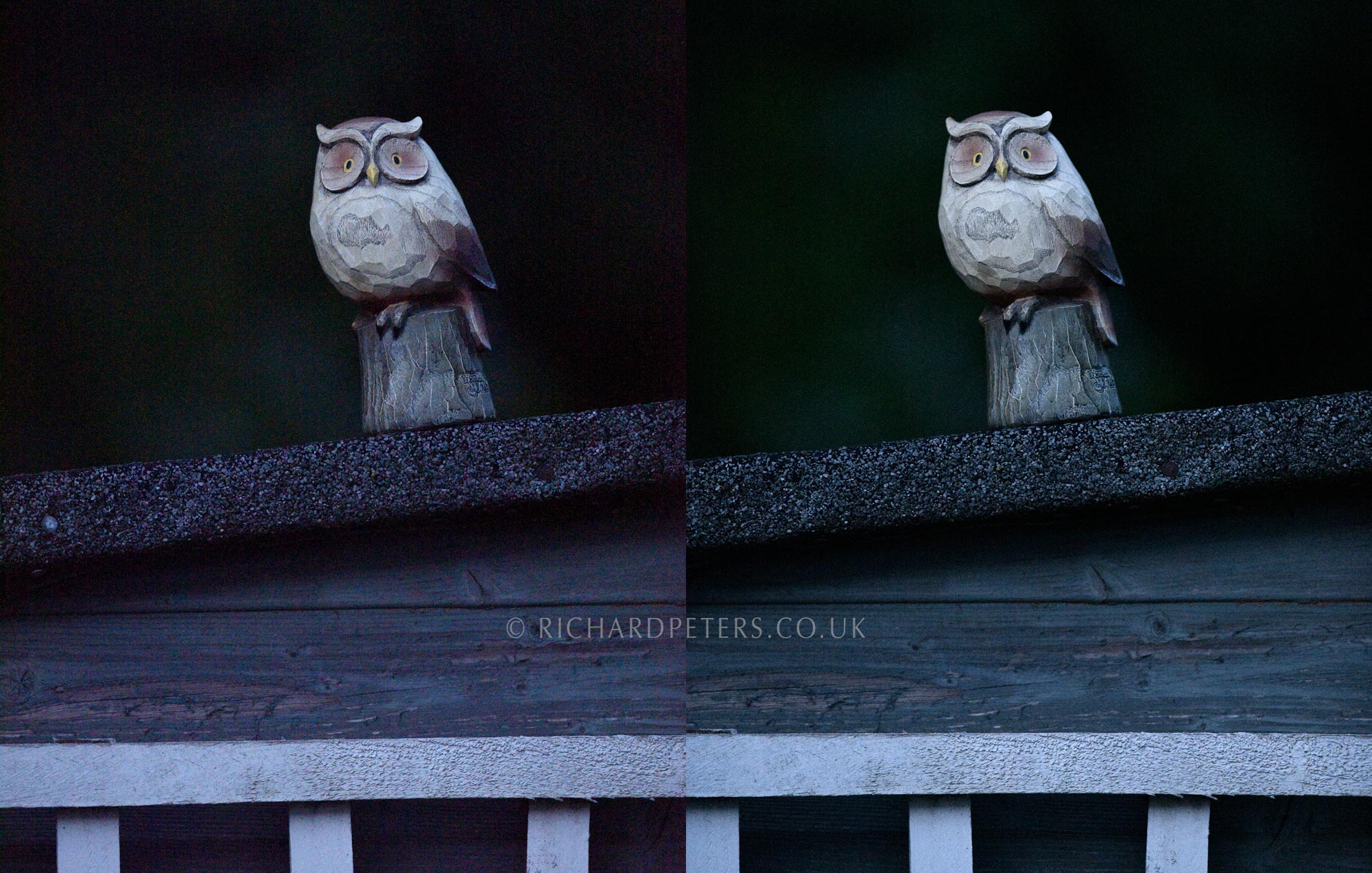 Nikon D850 v D810 ISO 25600