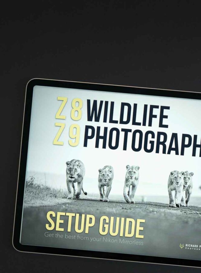 Nikon DSLR Error codes Explained Richard Peters Wildlife Photography